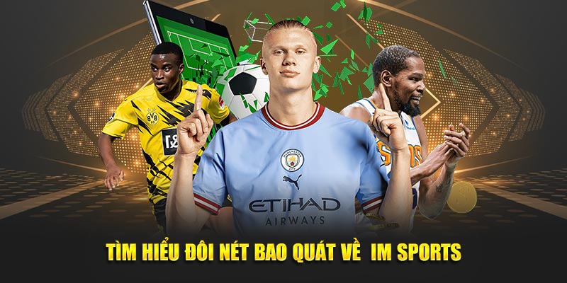 IM Sports – Nền tảng cá cược thể thao đỉnh cao cho mọi người chơi 2 Tìm hiểu bao quát về IM Sports